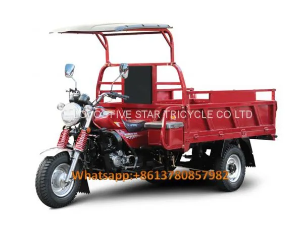 Gasoline Tricycle Cargo Loader Lovol Three Wheeler Mali Ethiopia Ghana Bukina Faso Tanzania Kenya Senegal Togo Benin Nigeira Mauritania Angola Burundi Chad Cameroon C ô te D'Ivoire Gabon Guinea Mozambique Rwanda Congo Uganda Zimbabwe photo-2