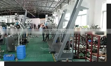 Automatic Food Preservatives Pouch Bags Sachet Detergent Snus Powder Packing Machine photo-4