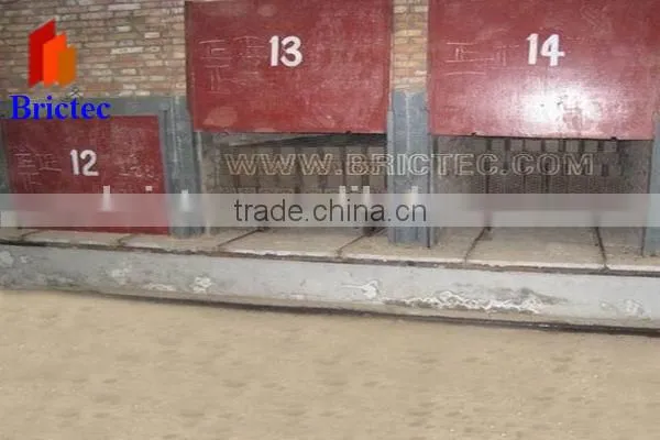 Hot in Africa ! Automatic Tunnel Dryer for Fired Clay Brick photo-5