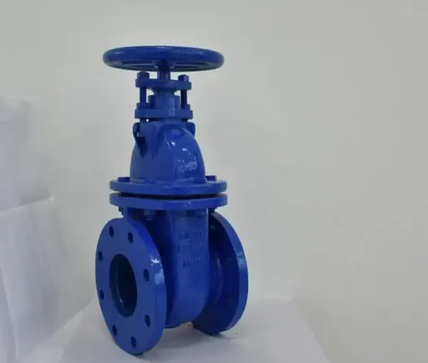 BS 3464 DN50 PN10/PN16 Cast Iron WCB GG25 Ductile Iron Flange Metal Hard Seal Water Gate Valve Price photo-5