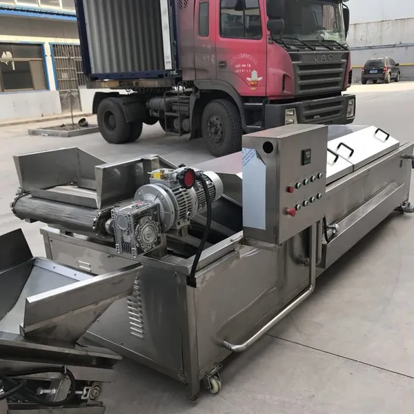 Washing, Cutting, Blanching Machine for Fruit and Vegetable Processing Line photo-2