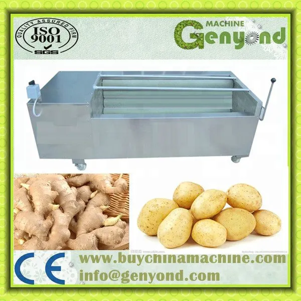 Washing, Cutting, Blanching Machine for Fruit and Vegetable Processing Line1 photo-5
