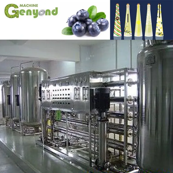 Berry Apple Wine Making Machine photo-2