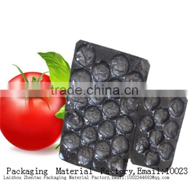 Gold Supplier Wholesale PP/PS/PET Fruit Packaging Tomato Tray Box