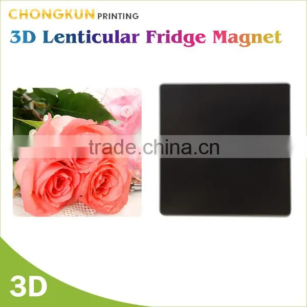 Portugal Souvenir Soft Pvc Fridge Magnet China photo-3