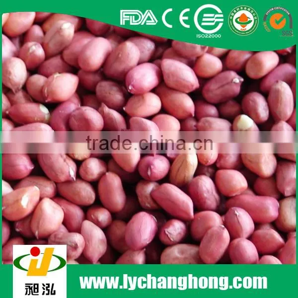 Ju'nan Country Best Quality Peanut Kernel24/28 Size 25kg/ctn for Sale photo-2
