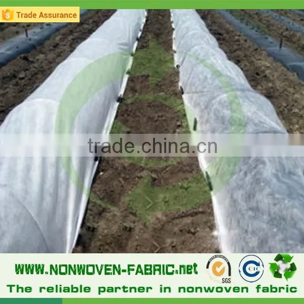 Agriculture Nonwoven Fabric Wholesale/UV Resistant PP Nonwoven photo-4