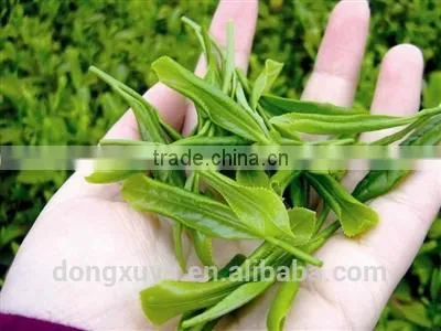 High Capacity Industrial Tunnel Microwave Drying for Green Leaves photo-6