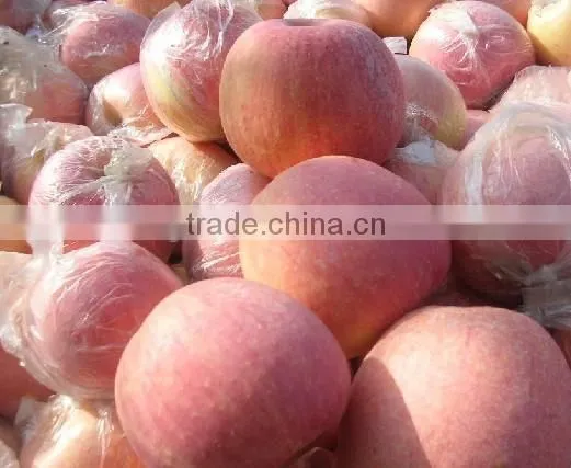Yantai Red Fuji Apple photo-3