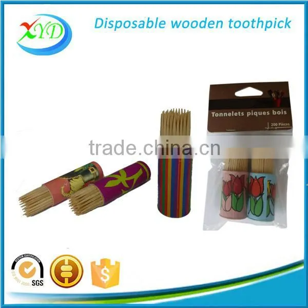 Birch Wooden Tooth Picks in Bulk Factory in China photo-3