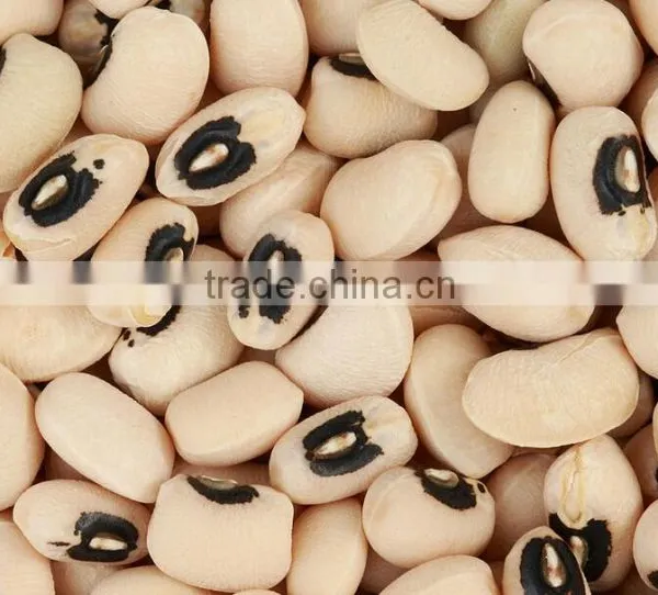 Black Eyed Beans New Crop photo-3