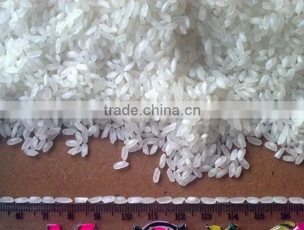 Medium Grain Rice