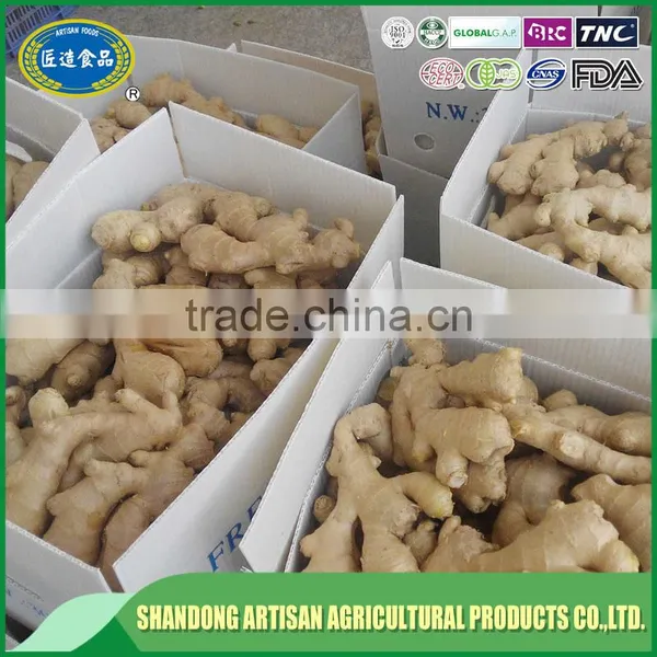 Professional Supplier,exporter Dry Ginger photo-5