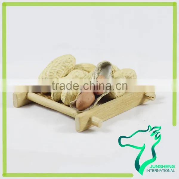 Raw Chinese Peanut Factory Supply photo-3