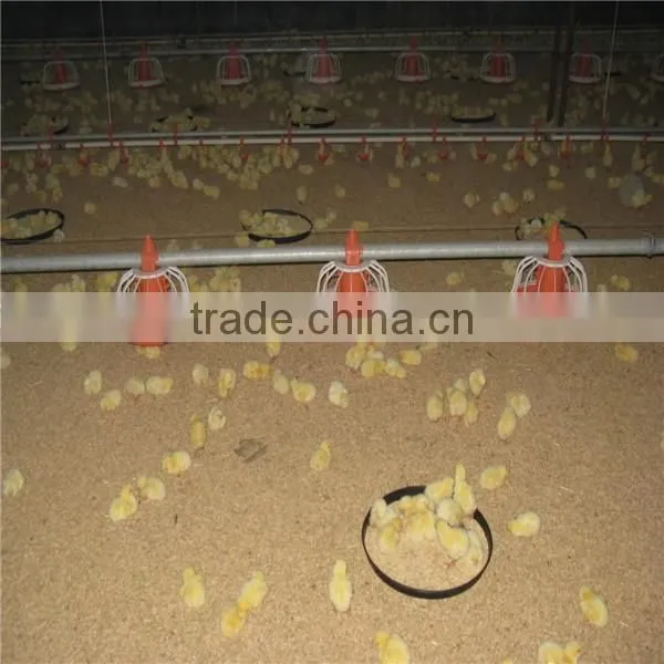 Broiler Chicken Feeding Equipment photo-3