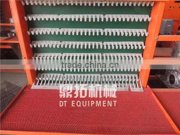 Automatic Egg Collection Equipment A Type Chicken Layer Cage for Sale in Philippines photo-4