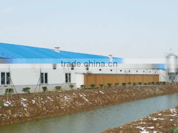 Steel Structure House