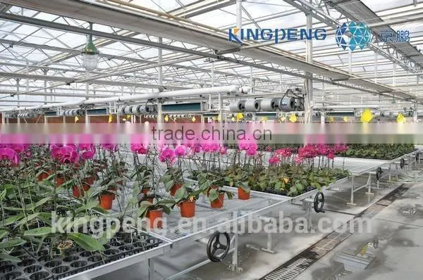PC Sheet Greenhouses photo-2