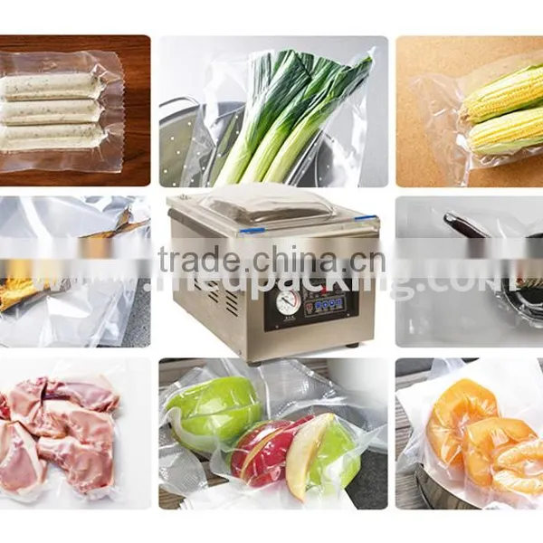 DZ-260 Desktop Vacuum Packaging Machine Stainless Steel Body photo-5