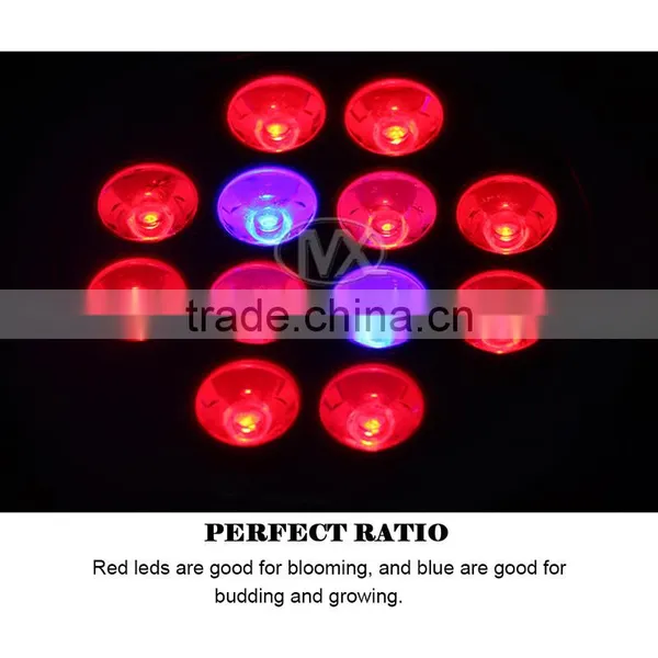 Usb Table Lamp LED Grow Light Mini LED Bulb Lights E27 LED Grow Light photo-4