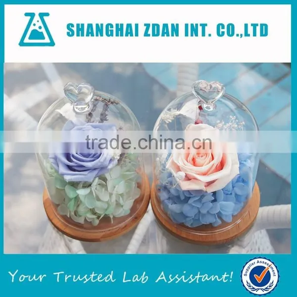 Glass Shade Preserved Flower Cover photo-2