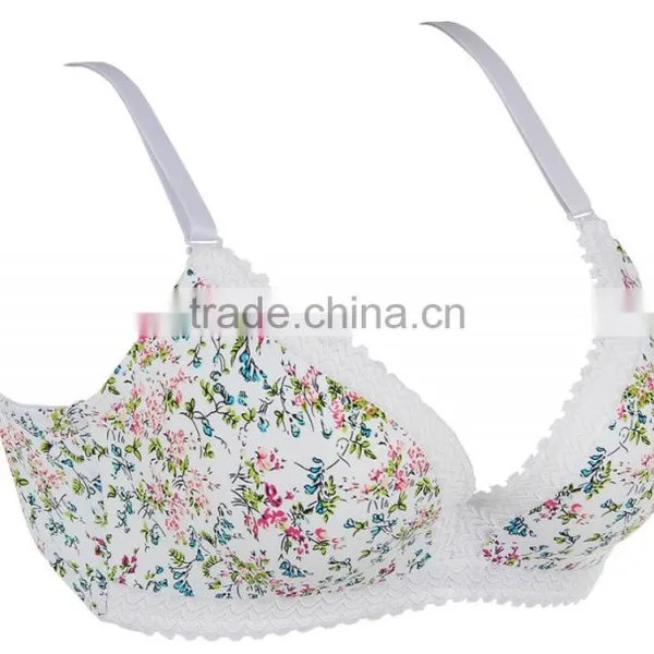 HSZ-58070 New Design Breathable Large Size Bra Underwear For Woman Bra Factory In China photo-6
