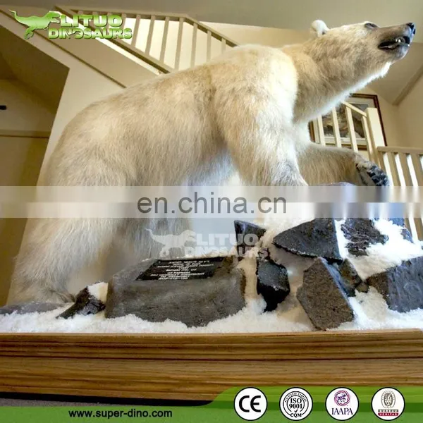 Arctic Theme Mini Golf Decor Life Size Animal Animatronic Polar Bear photo-4