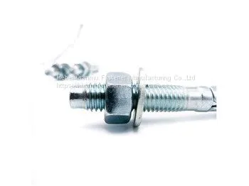 Wedge Anchor Bolt M12 China Handan Manufacturer Fastener Expansion Bolt photo-3
