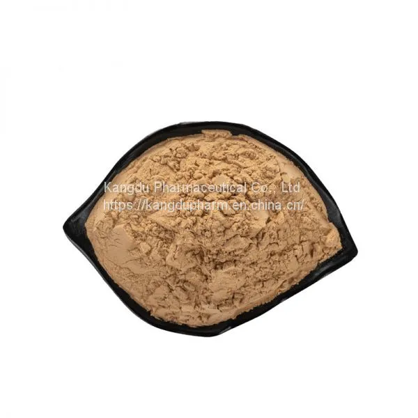 100% Natural Scutellaria Baicalensis Extract Baicalin 90% Powder photo-3