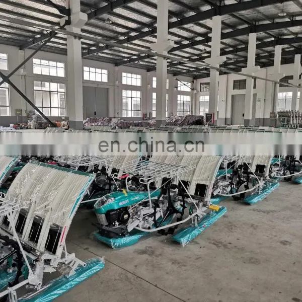 China 6 Rows 4 Rows 2.6kw World Rice Transplanter Manual Transplanter Rice for Sale photo-7