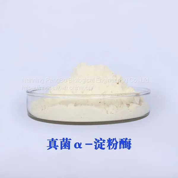 Fungal Amylase CAS：9013-01-8 Food Grade photo-2