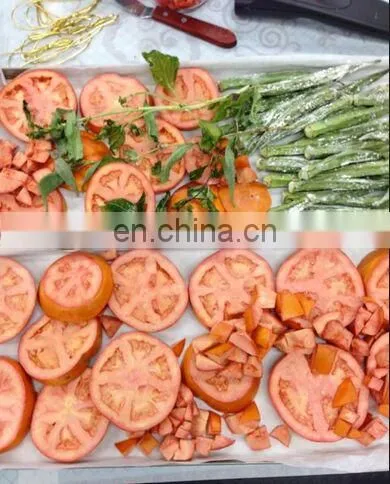 Commercial Fruit Dehydrator/food Vacuum Dehydrator/food Freeze Dryer photo-5