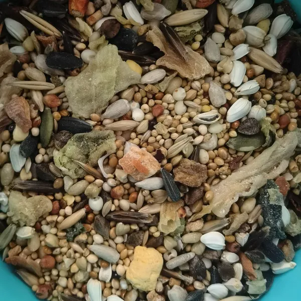 Mixed Seed Bird Treat With Fruits and Vegetables photo-3