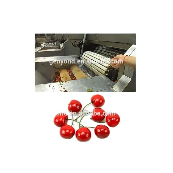 Cherry Stem Removing Machine Cherry /fruit Processing Machine