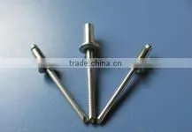Rivet Nail1 photo-2