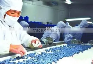 Bulk Frozen Blueberries photo-2