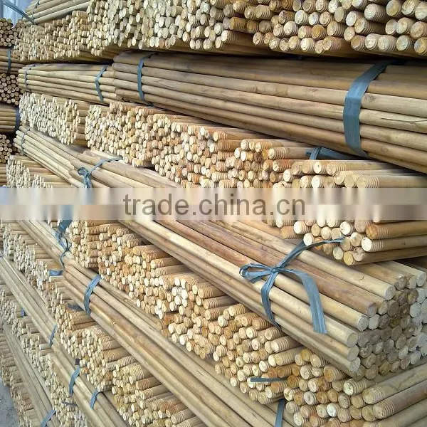 Vietnam Wood Log With Cheap Price photo-3