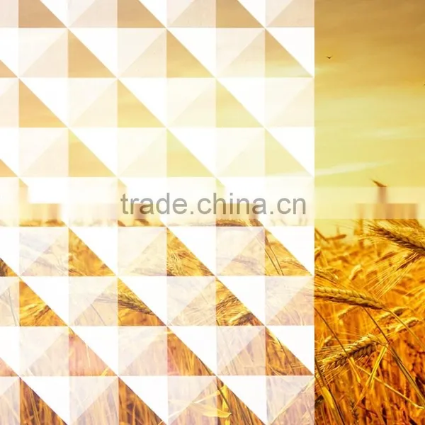 2015 Window Smart Tint Film Glass Film photo-4
