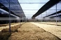 Vietnam High Quality Garden Shade Net
