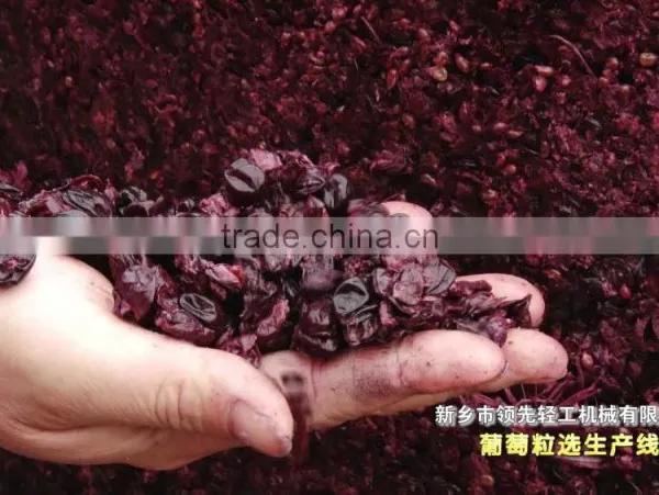 JCP-5 Grape Stemer and Crusher photo-2