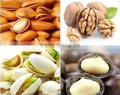 Most Popular Hazelnut Cracking Machine Manufacture,hazelnuts Pine Nuts Breaking Machine photo-3