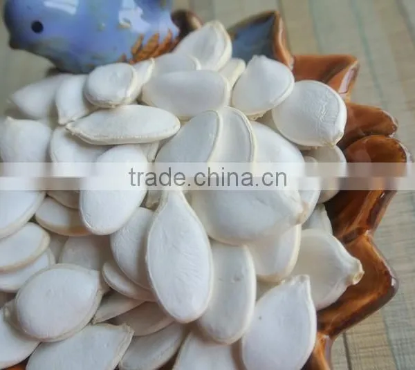 ISO 22000 Factory Supply Herb Snow White Pumpkin Seeds Extract b Protein Powder photo-3