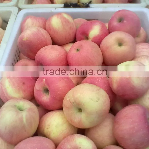 Fuji Apple