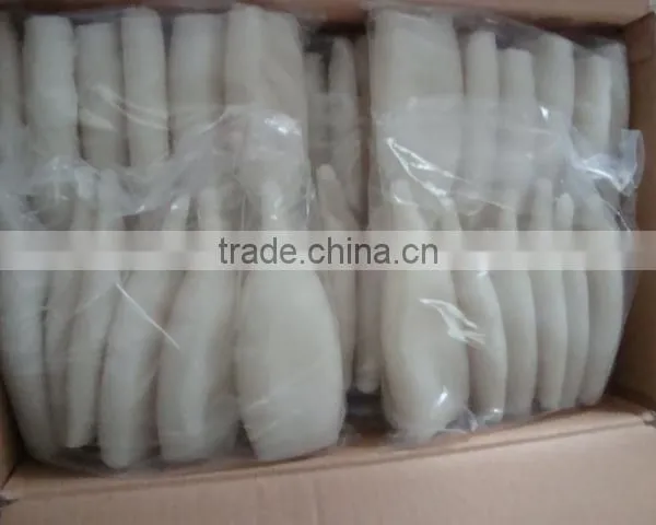 Illex Squid Tube