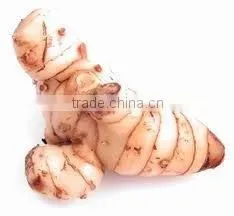 GALANGAL ROOTS