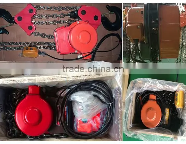 1 Ton 6 Metre Dhs Pulley Electric Chain Block For Sale photo-2