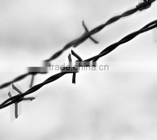 Low Price Good Quality Barbed Wire photo-4