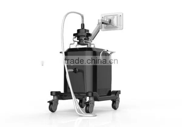 AYJ-S12 Popular Design High Quality Natural Best Way to Lose Belly Fat Hifu Slimming Machine photo-3