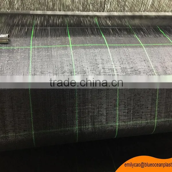 Mulching Film Anti Grass Cloth Ground Cover Control Weed Net photo-4