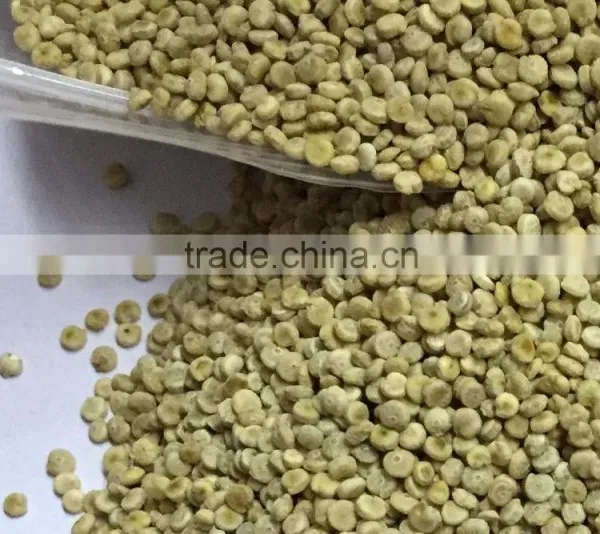 Psyllium Husk Isabgol India Origin Isabgol Seed